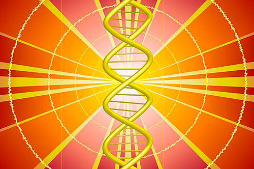 推薦項(xiàng)目簡介